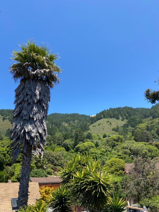 1 Belvedere Ave Muir Woods Mt Tamalpais Bolinas Lagoon Stinson Beach Exterior foto